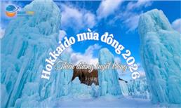 Tour Nhật Bản Tết 2026: Khám Phá Hokkaido Mùa Đông